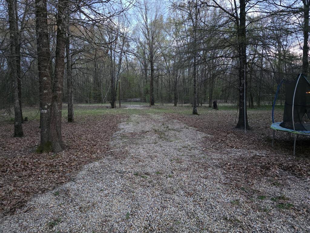 160 Zigler Road, Avery, TX 75554