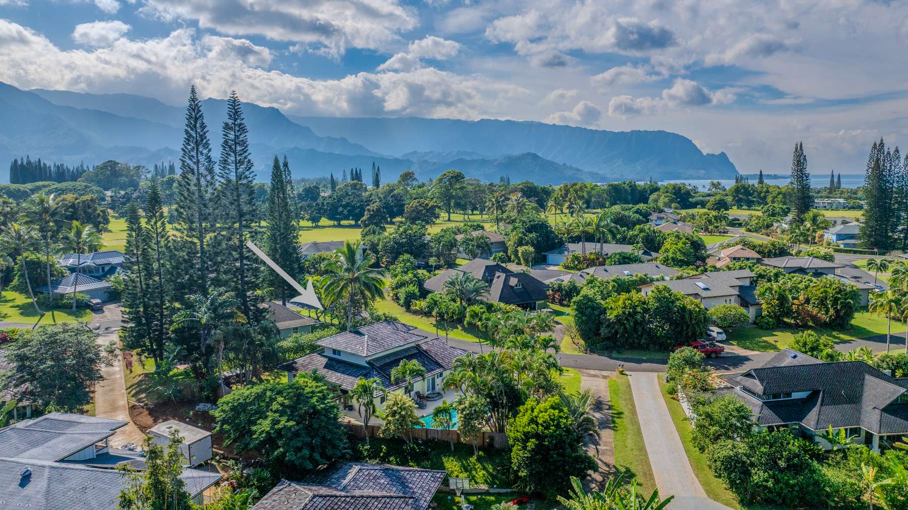 3979 KALAKAUA PL, Princeville, HI 96722