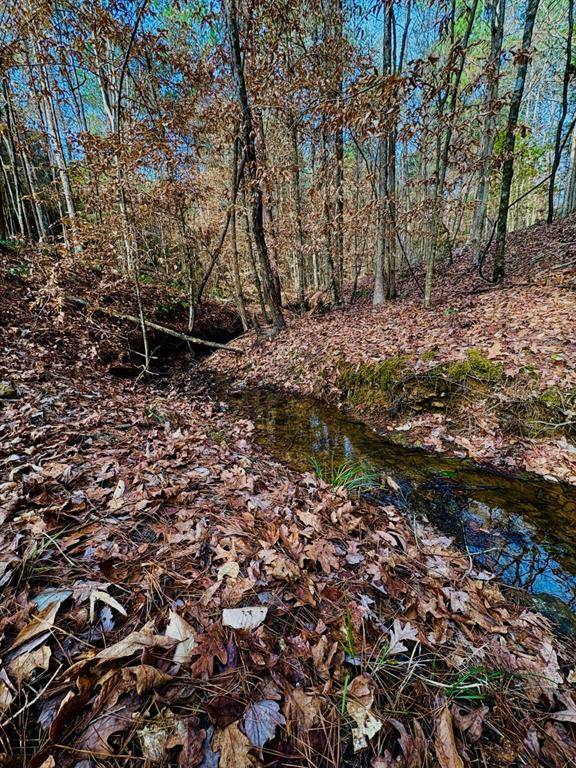 TBD (Lot 59) County Road 1060, Center, TX 75935