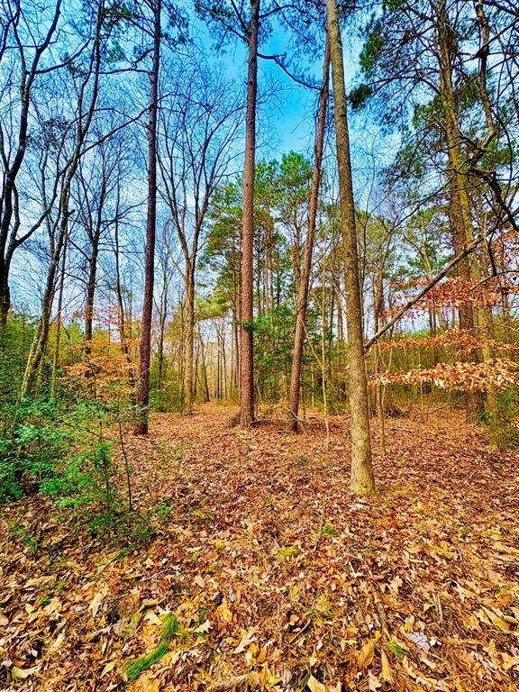 TBD (Lot 59) County Road 1060, Center, TX 75935