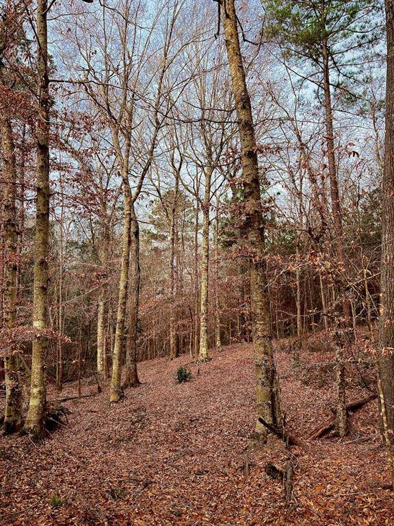 TBD (Lot 59) County Road 1060, Center, TX 75935