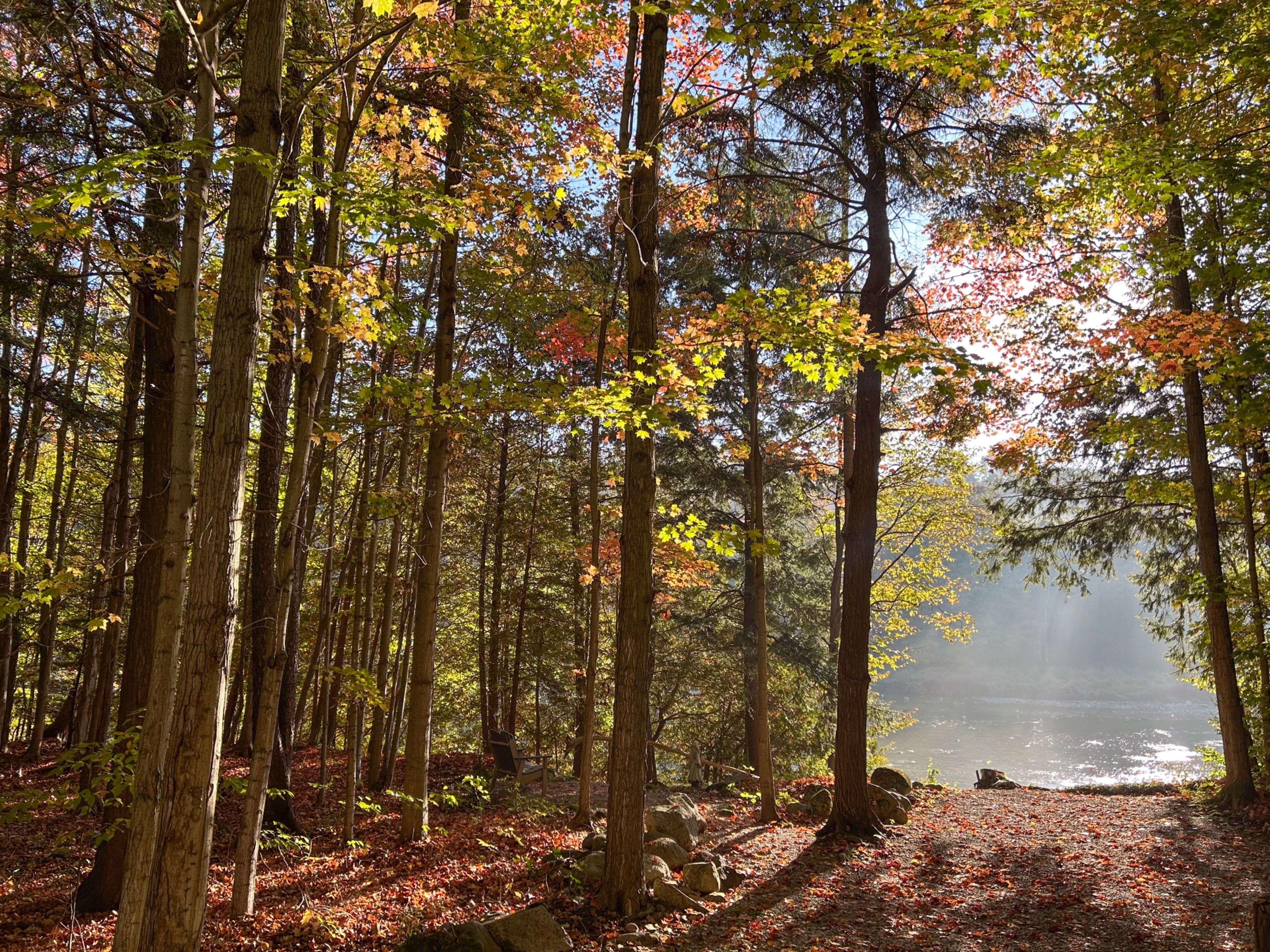 80602 Benmiller Line, Central Huron, ON N0M 1L0