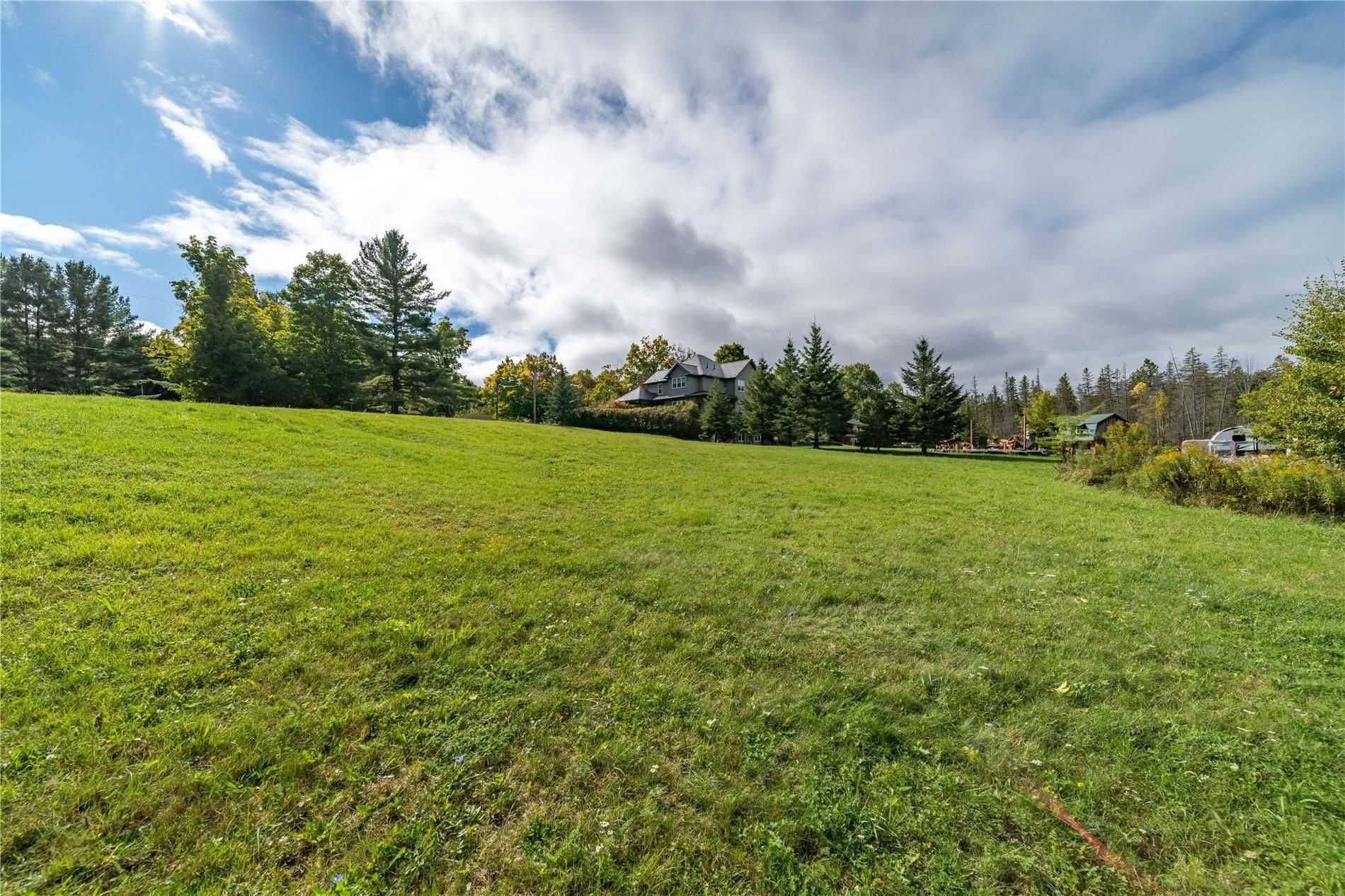 Lot 17 Grandy RD, Kawartha Lakes, ON K0M 1K0