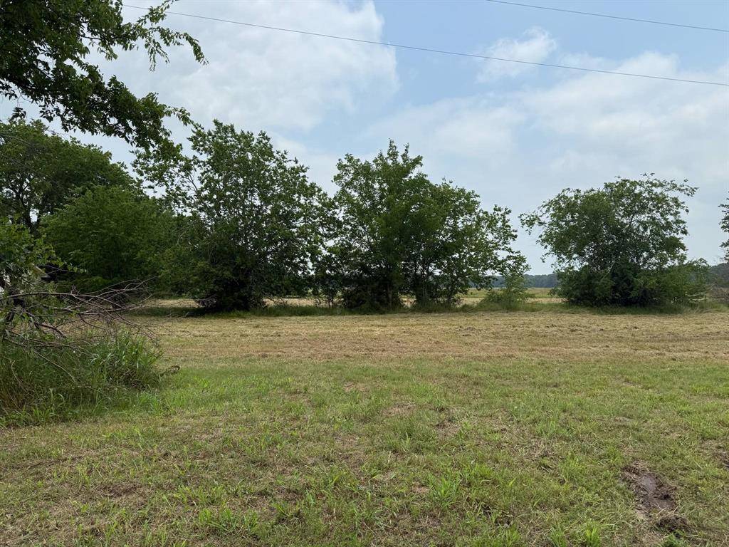 Lot 1 County Road 120, Wills Point, TX 75169