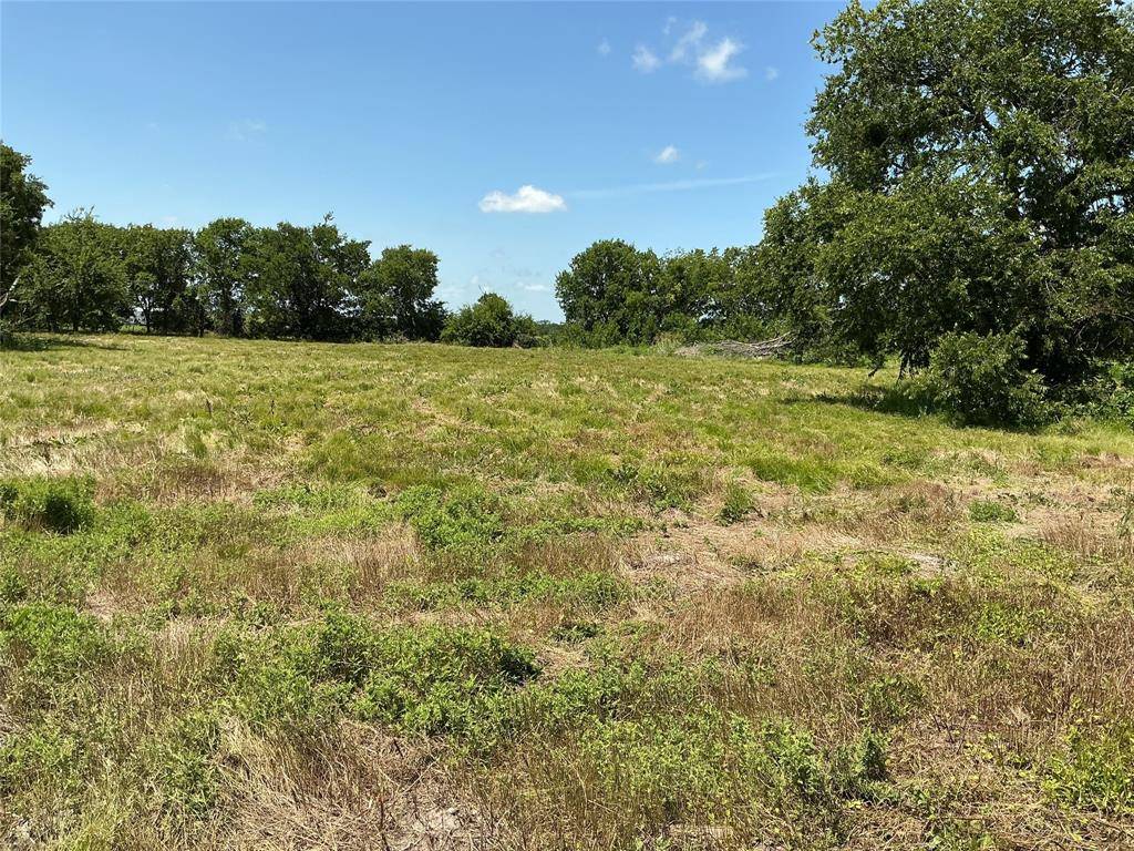 1300 S Hwy 205, Mclendon Chisholm, TX 75032