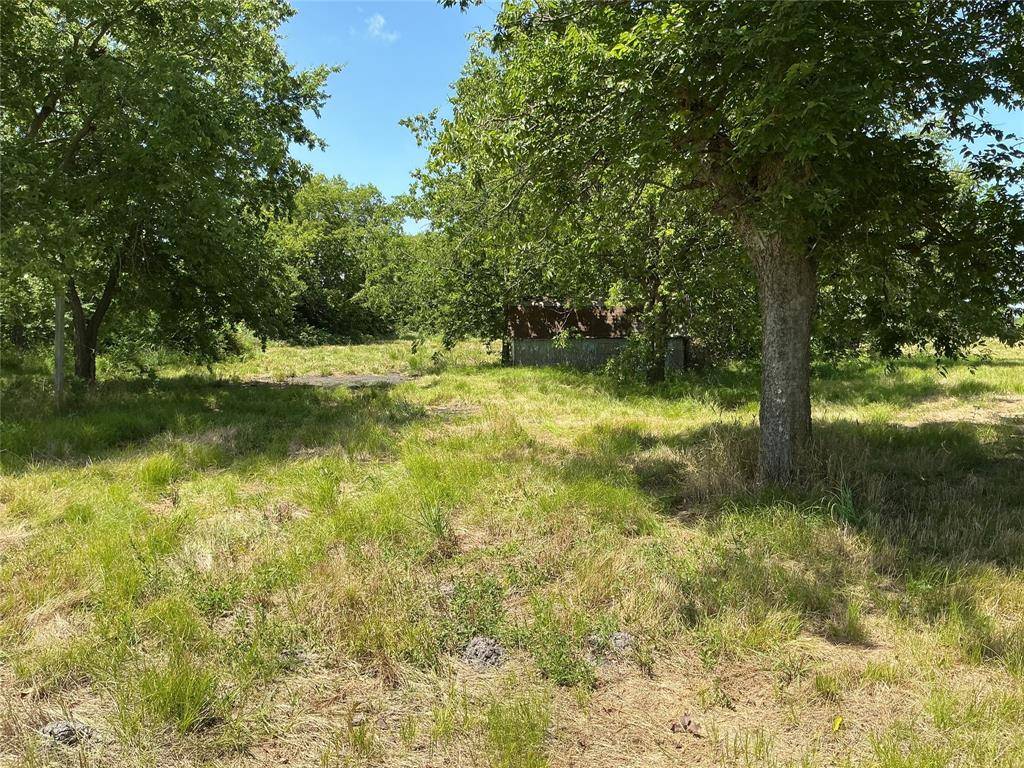 1300 S Hwy 205, Mclendon Chisholm, TX 75032