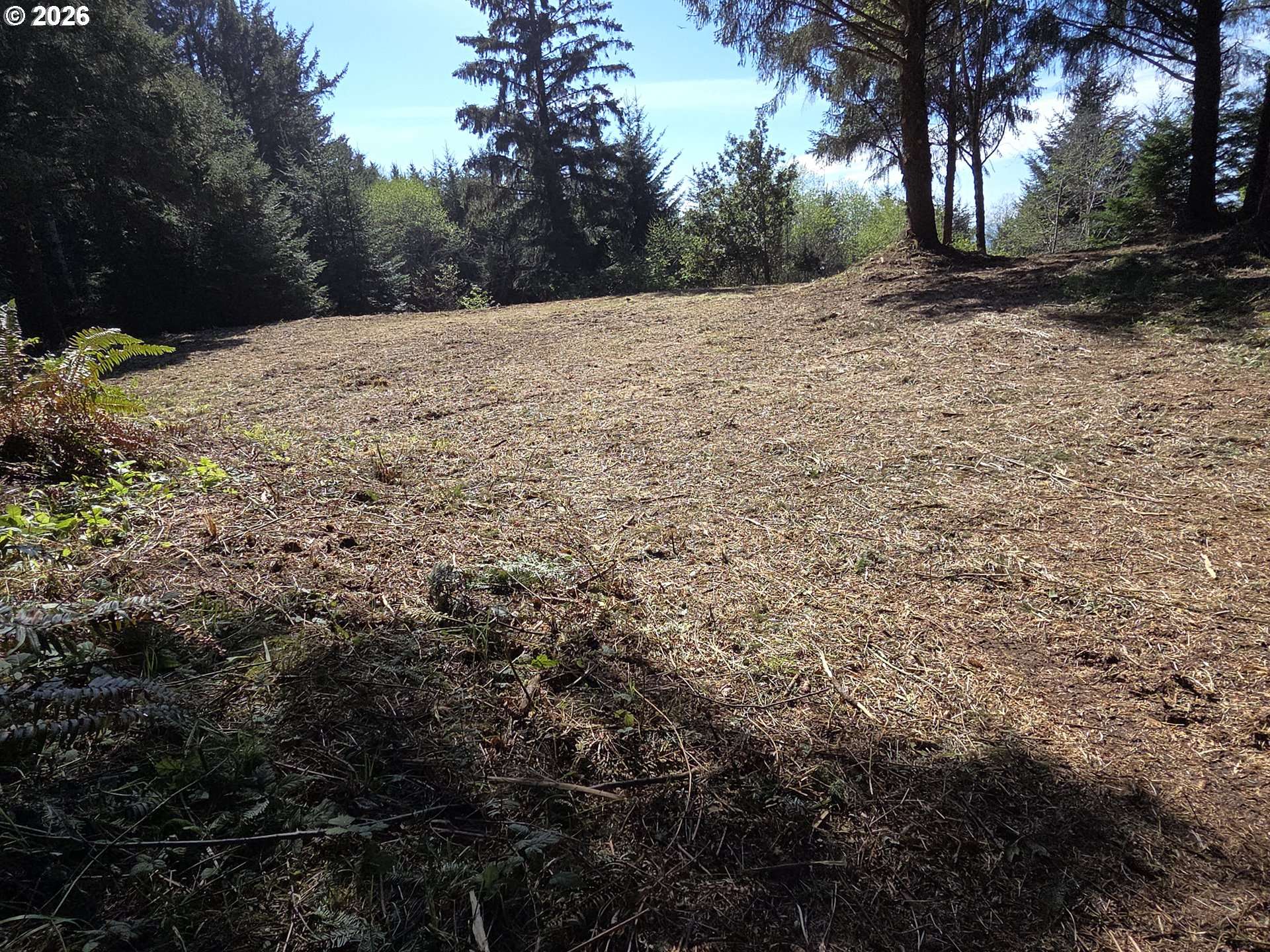 Hammond LN #9, Gold Beach, OR 97444