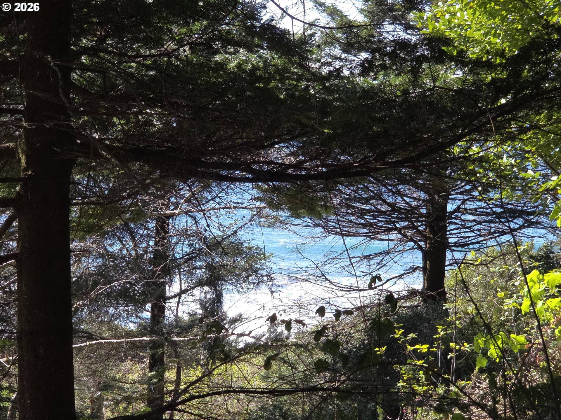 Hammond LN #9, Gold Beach, OR 97444