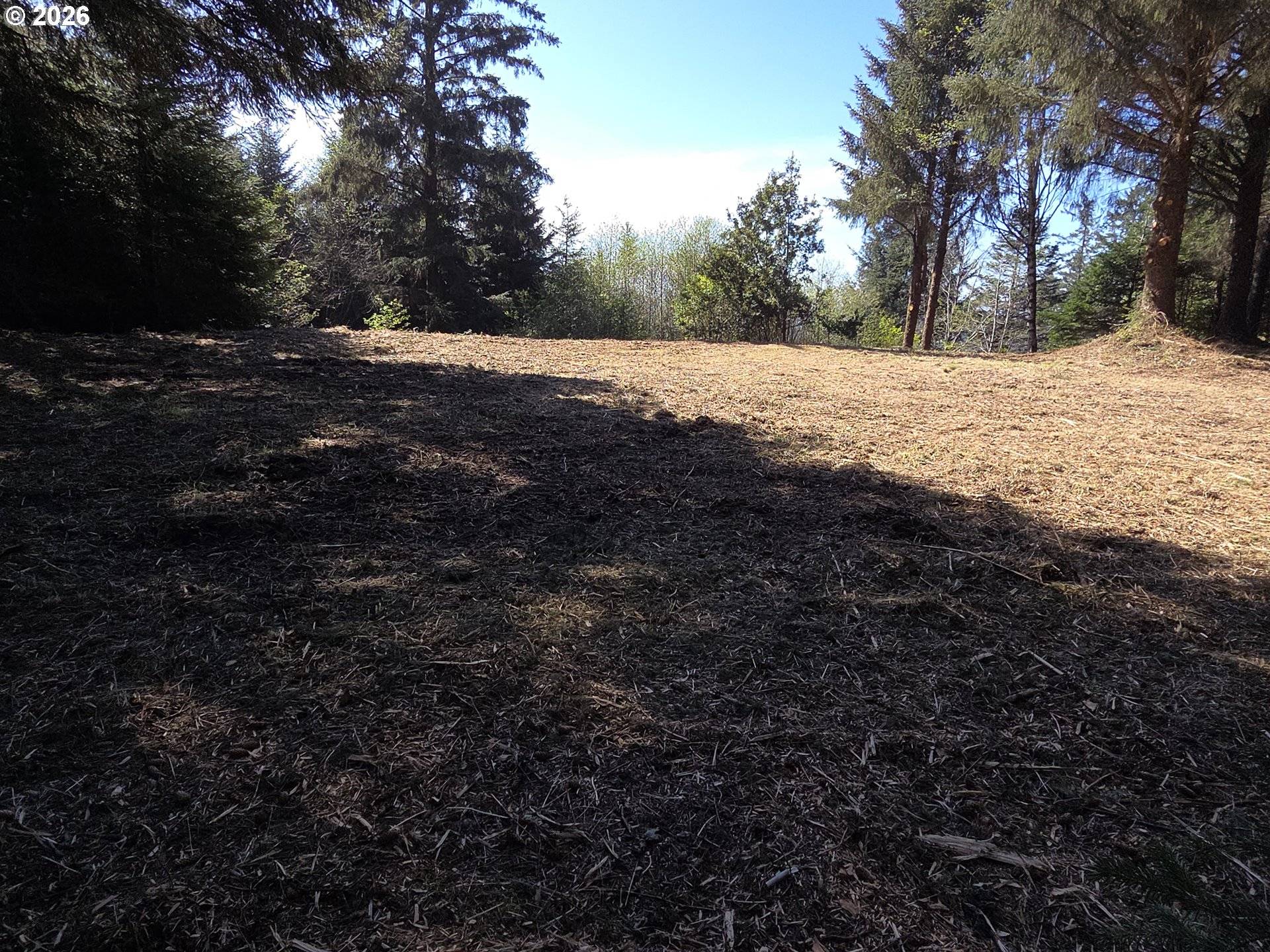 Hammond LN #9, Gold Beach, OR 97444