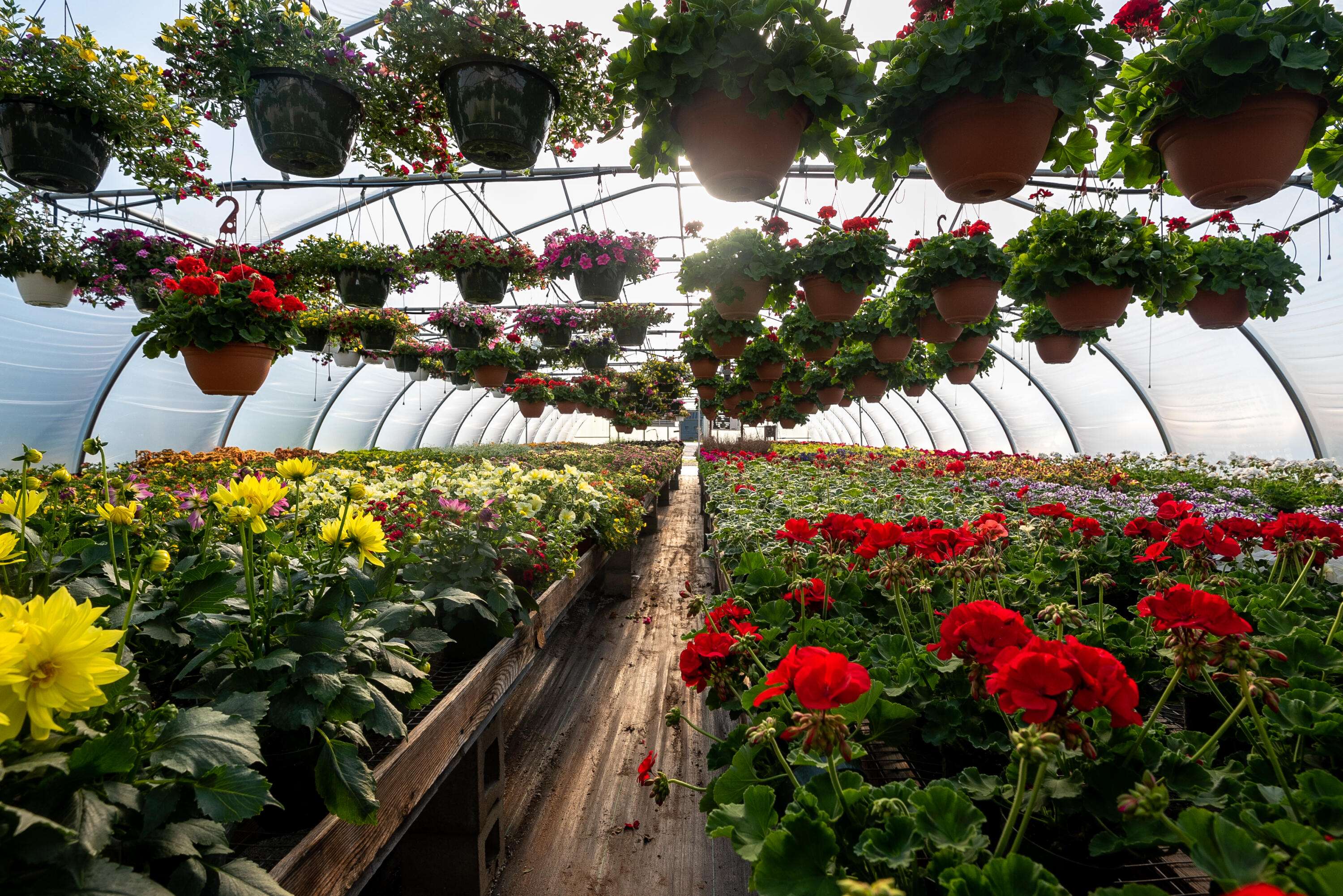 8627 Cleveland AVE, Baroda Twp, MI 49101