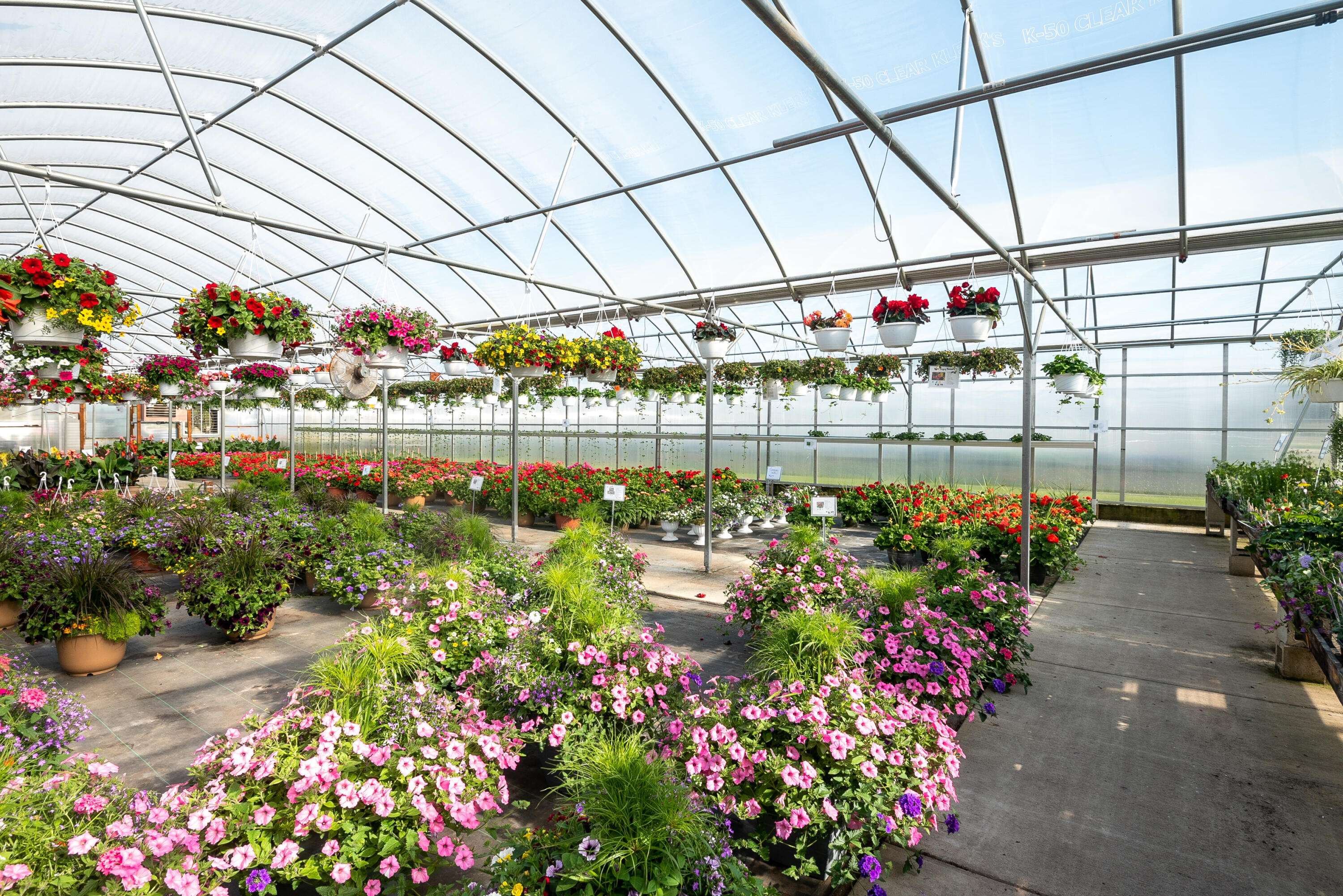 8627 Cleveland AVE, Baroda Twp, MI 49101