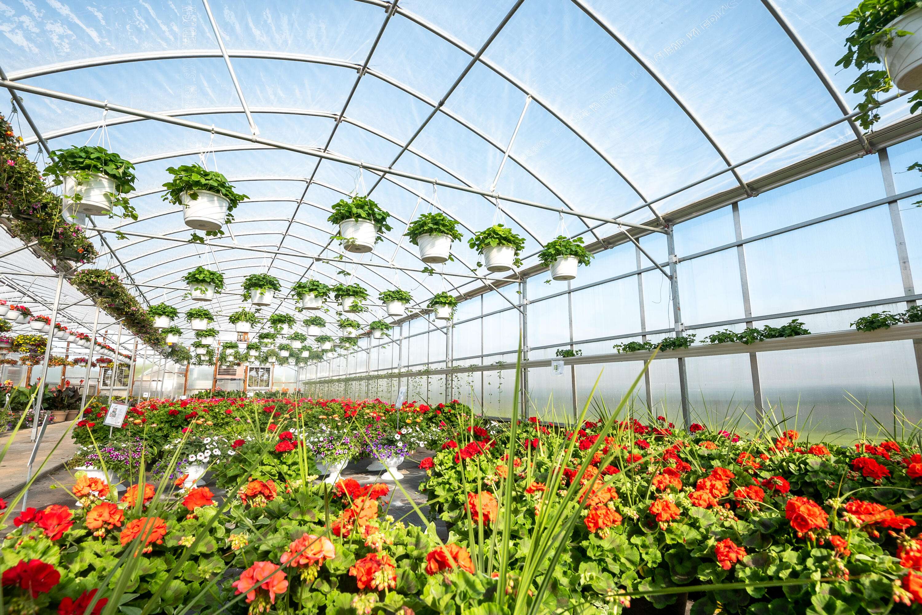 8627 Cleveland AVE, Baroda Twp, MI 49101