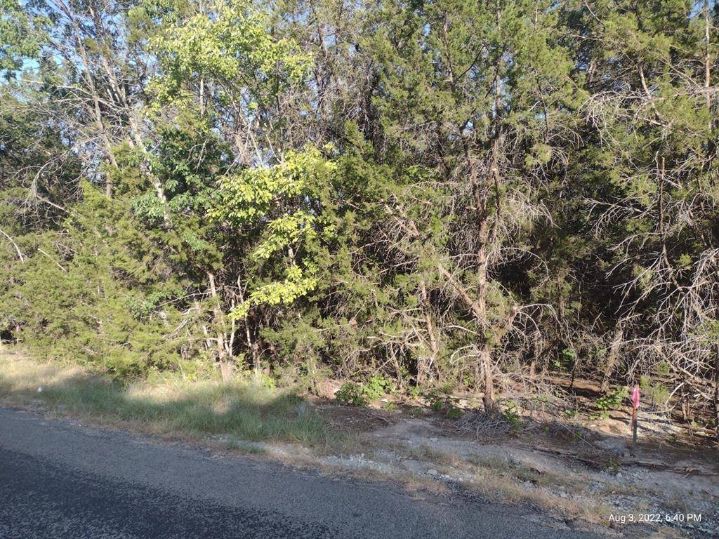 1011 Comanche Cove Drive, Granbury, TX 76048