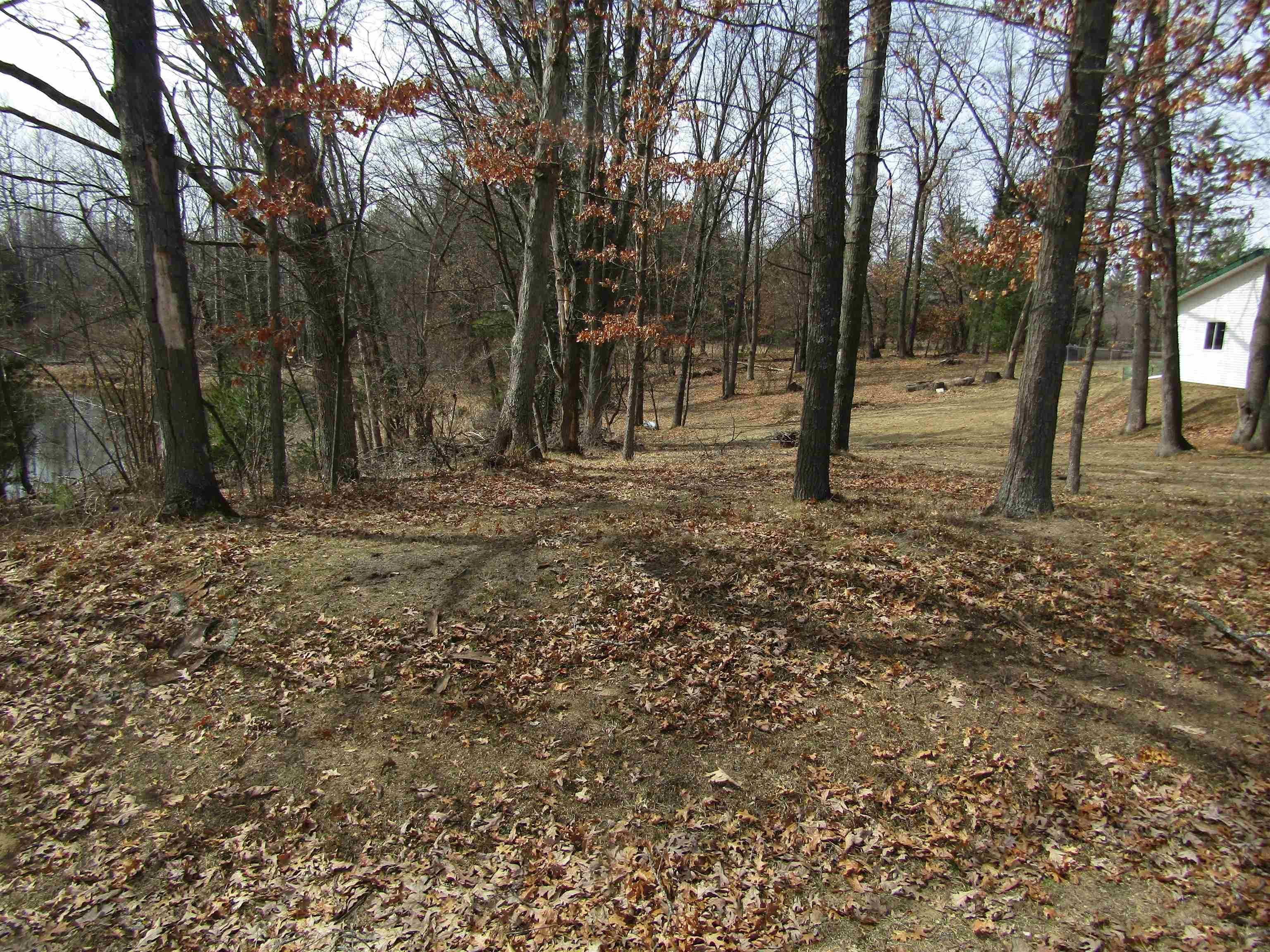 00_VL W Caribou TRL, Churchill Twp, MI 48661