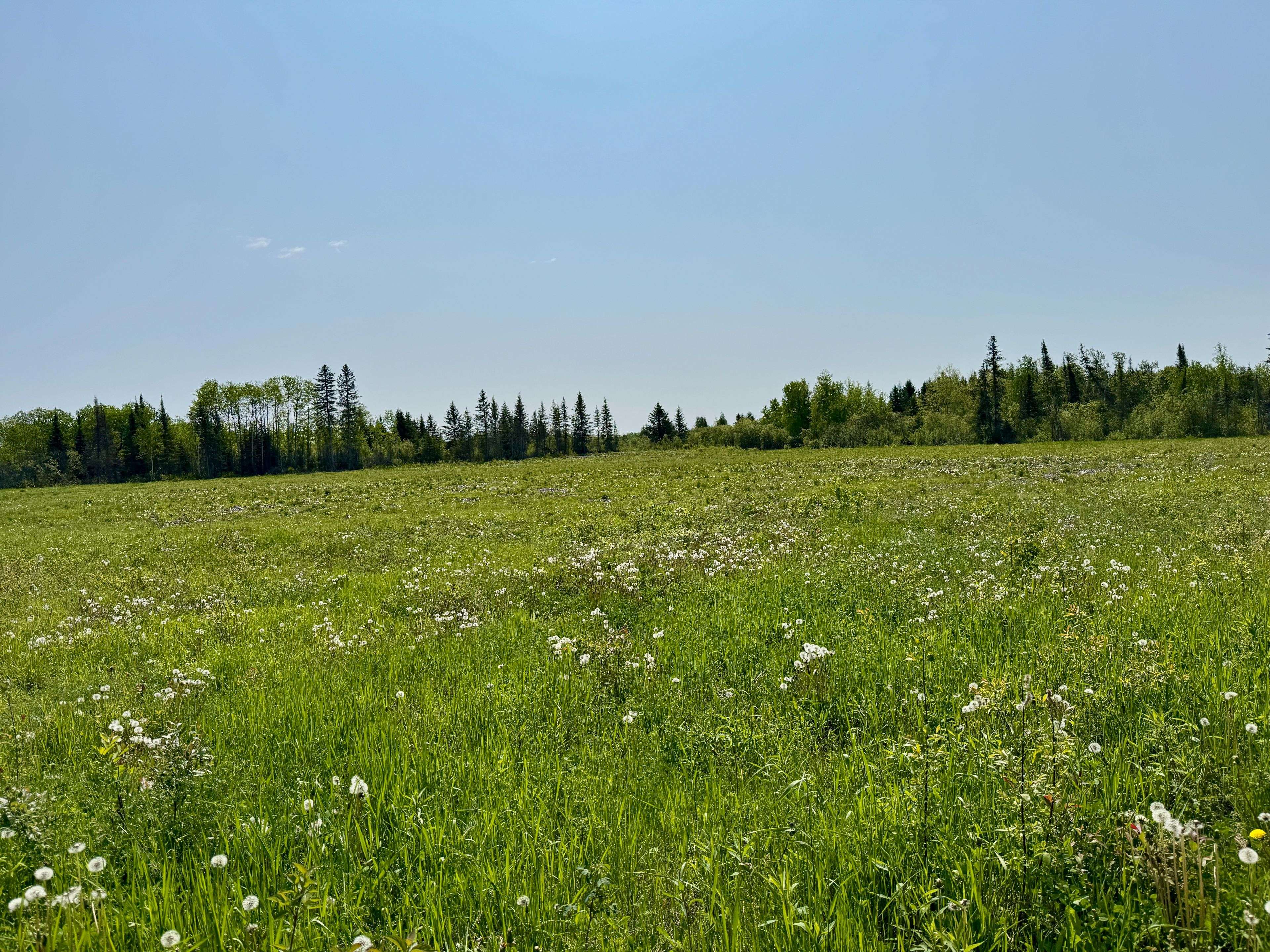 99 Ash PCL 1170 ST, Kapuskasing, ON P5N 2E1