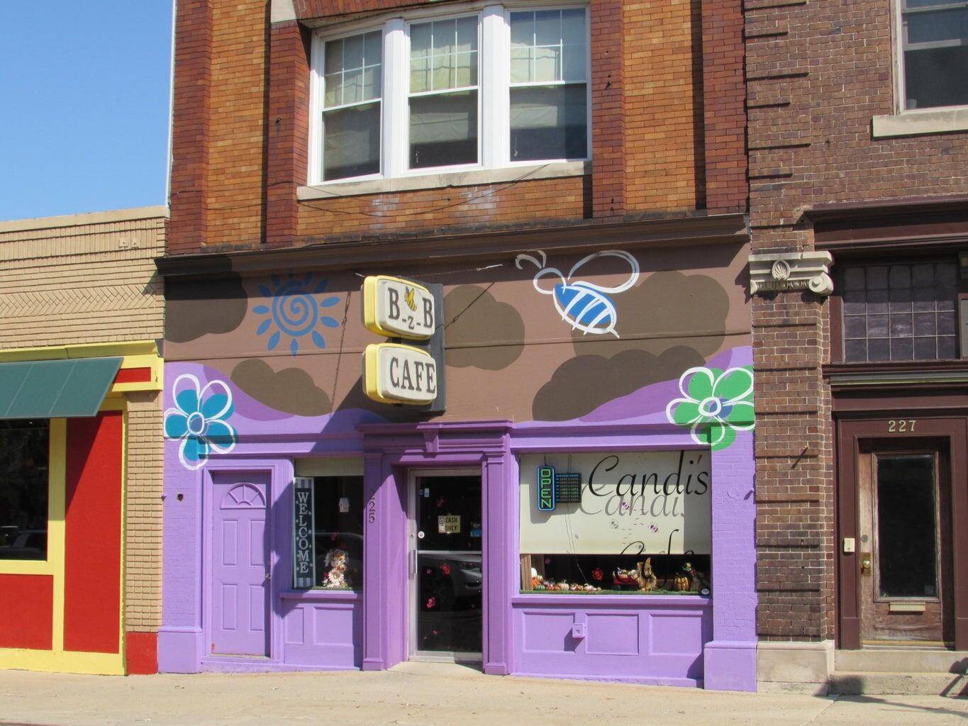 223 S Mechanic ST, Jackson City, MI 49201