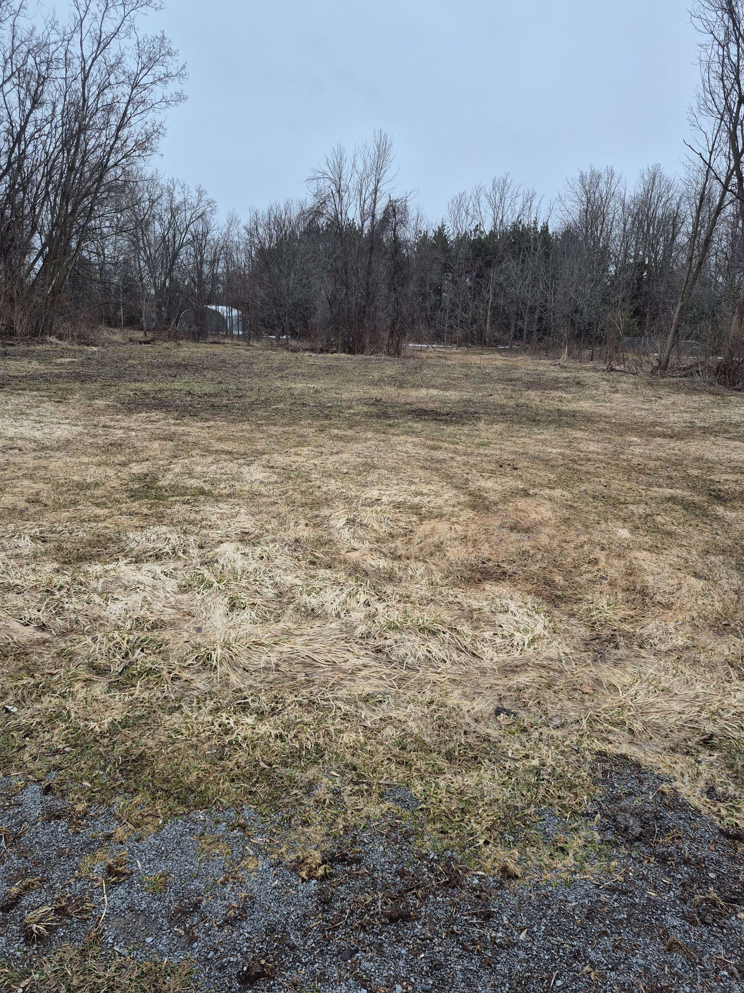 58 Walt ST, Brighton, ON K0K 1H0