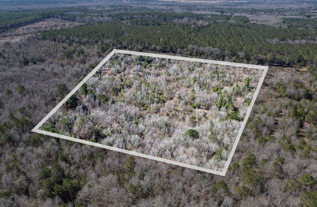TBD County Road 2752, Naples, TX 75568