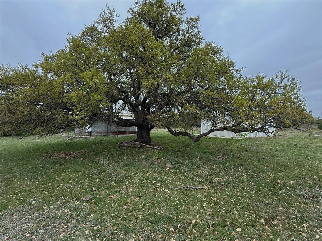 TBD Co Rd 369, Carbon, TX 76435