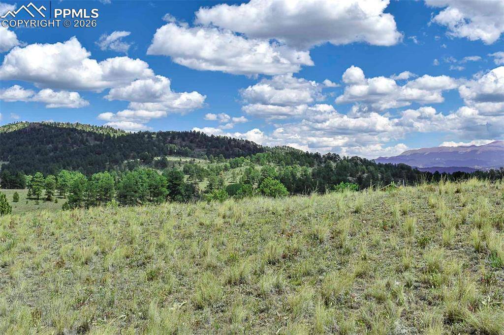 4680 County Road 71, Guffey, CO 80820