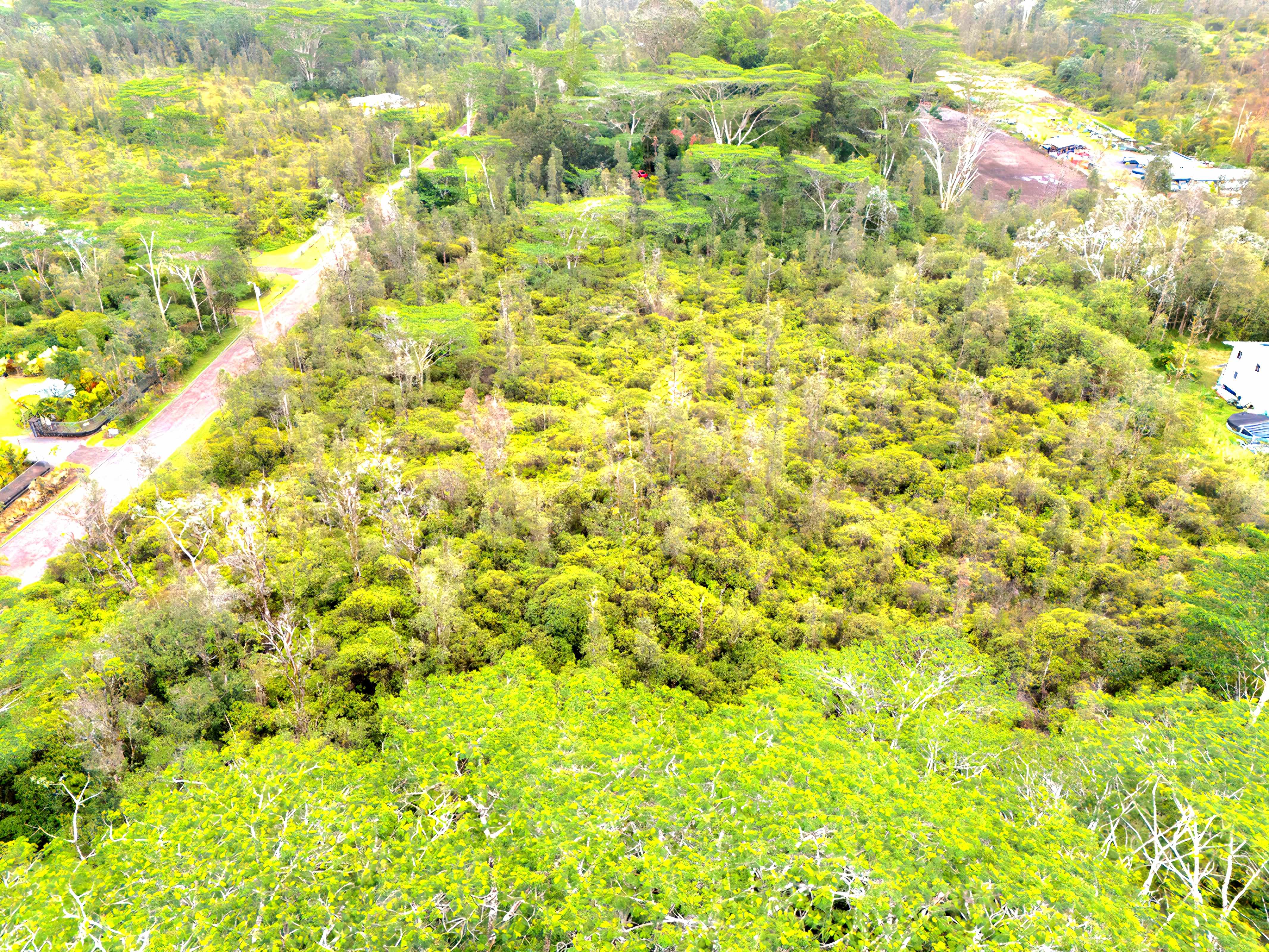 16-1734 37TH AVE, Keaau, HI 96749