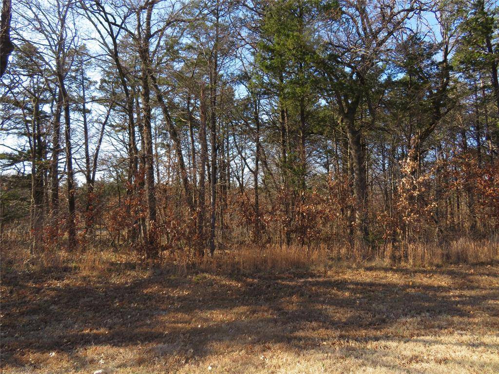 3 Annadale Lane, Gordonville, TX 76245