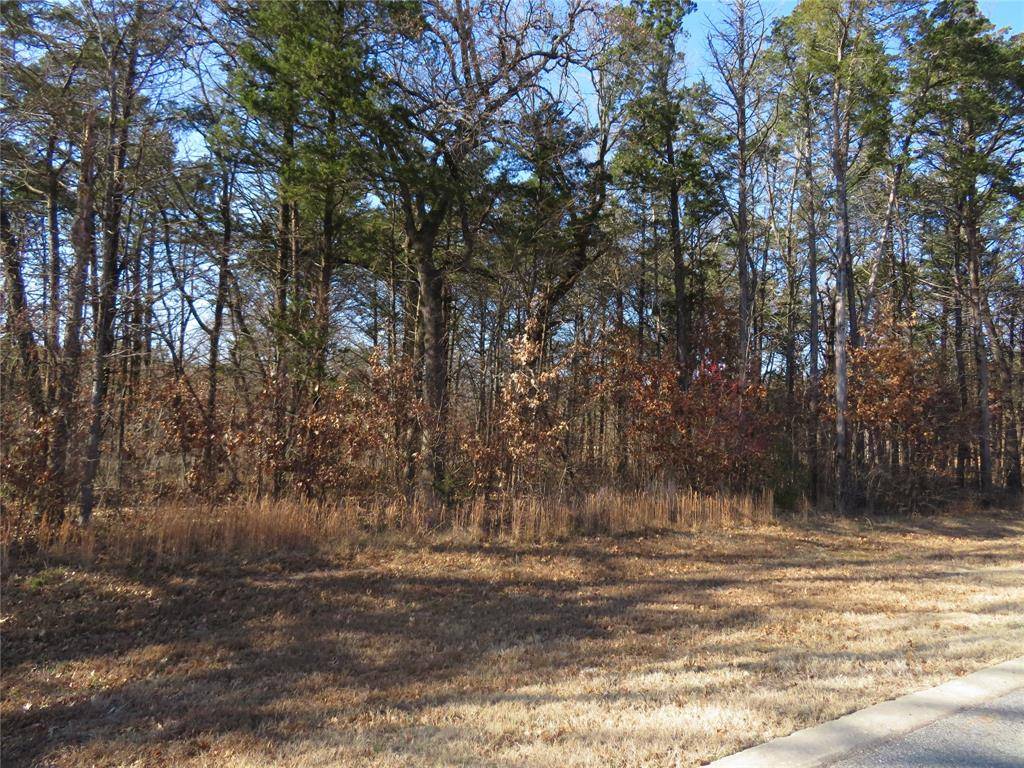 3 Annadale Lane, Gordonville, TX 76245