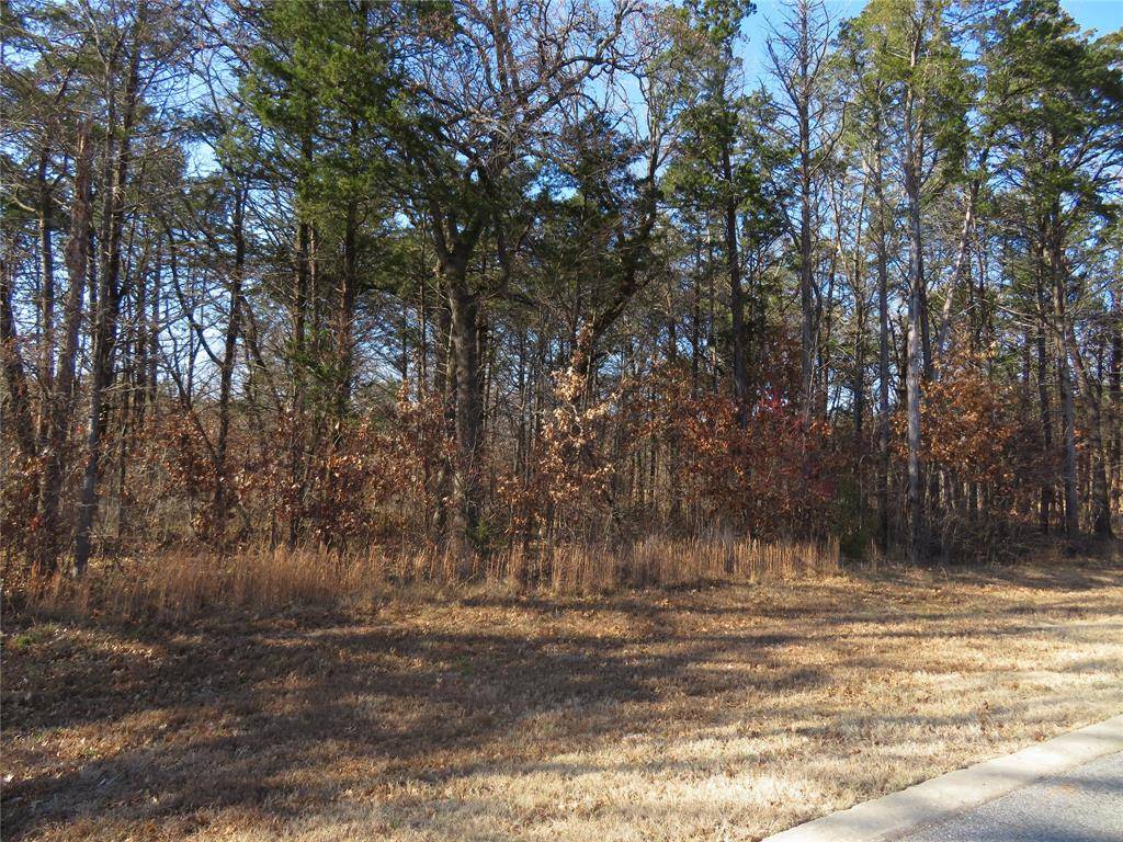 3 Annadale Lane, Gordonville, TX 76245