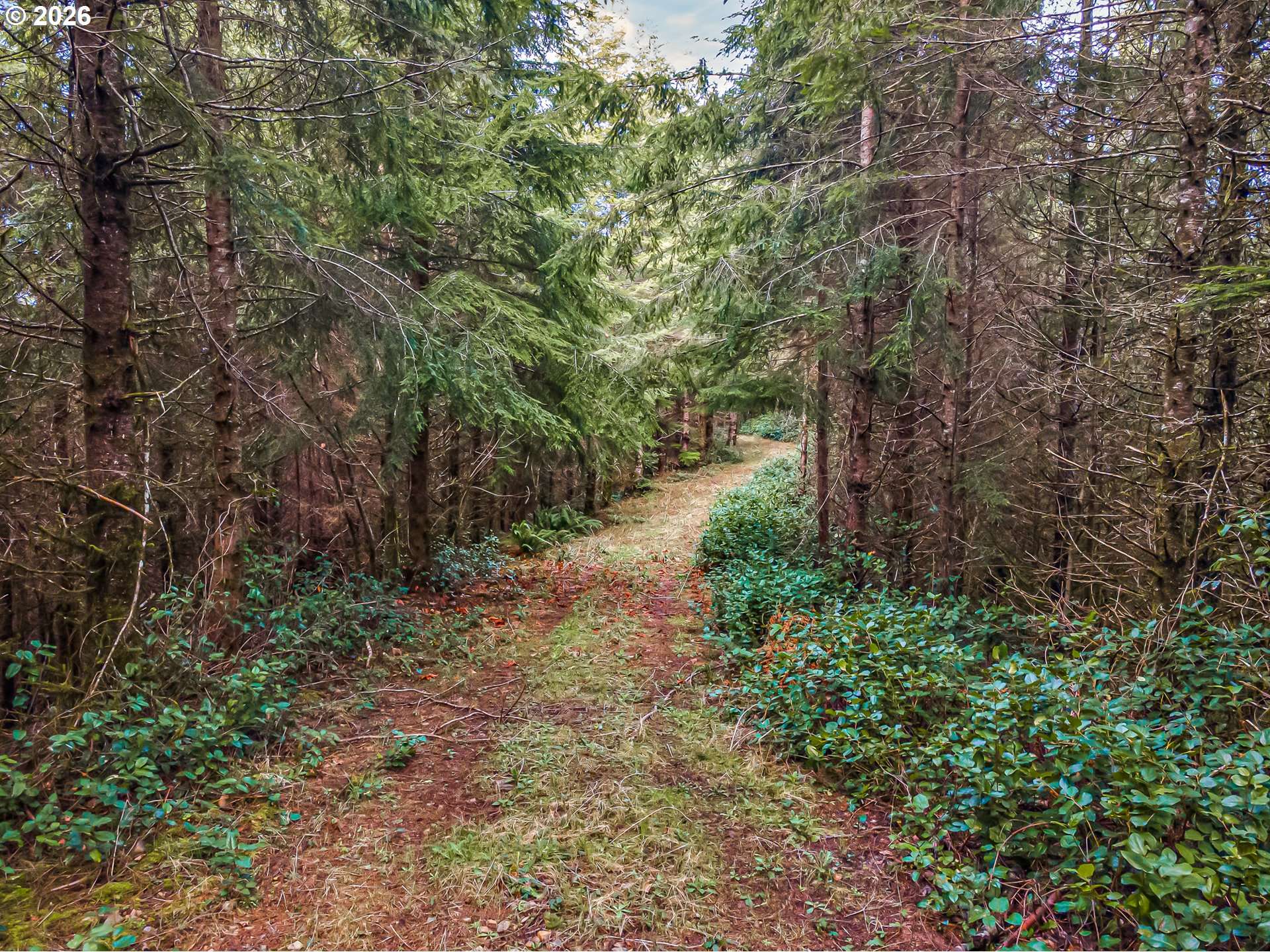 Criteser LOOP, Toledo, OR 97391