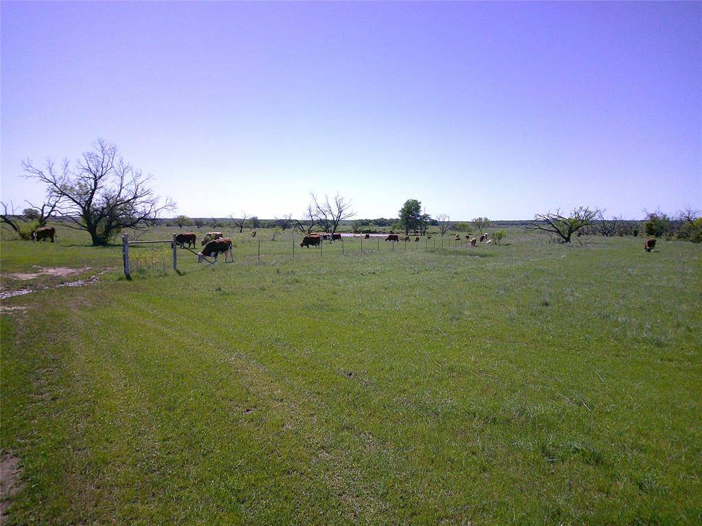 Tr 8 4 Wire, Bowie, TX 76230