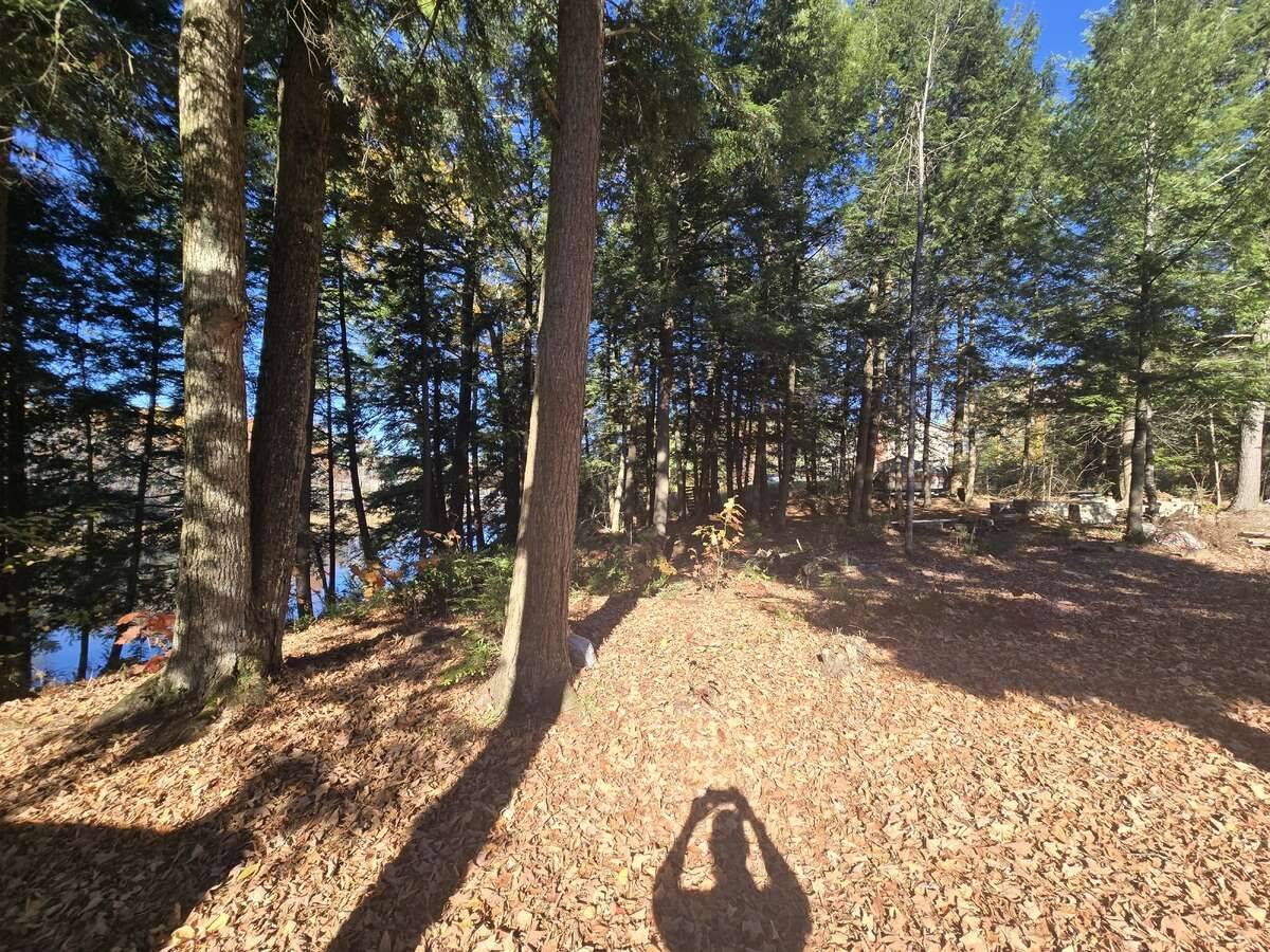 Lot 14 Laidlaw AVE, Gravenhurst, ON L0K 2B0
