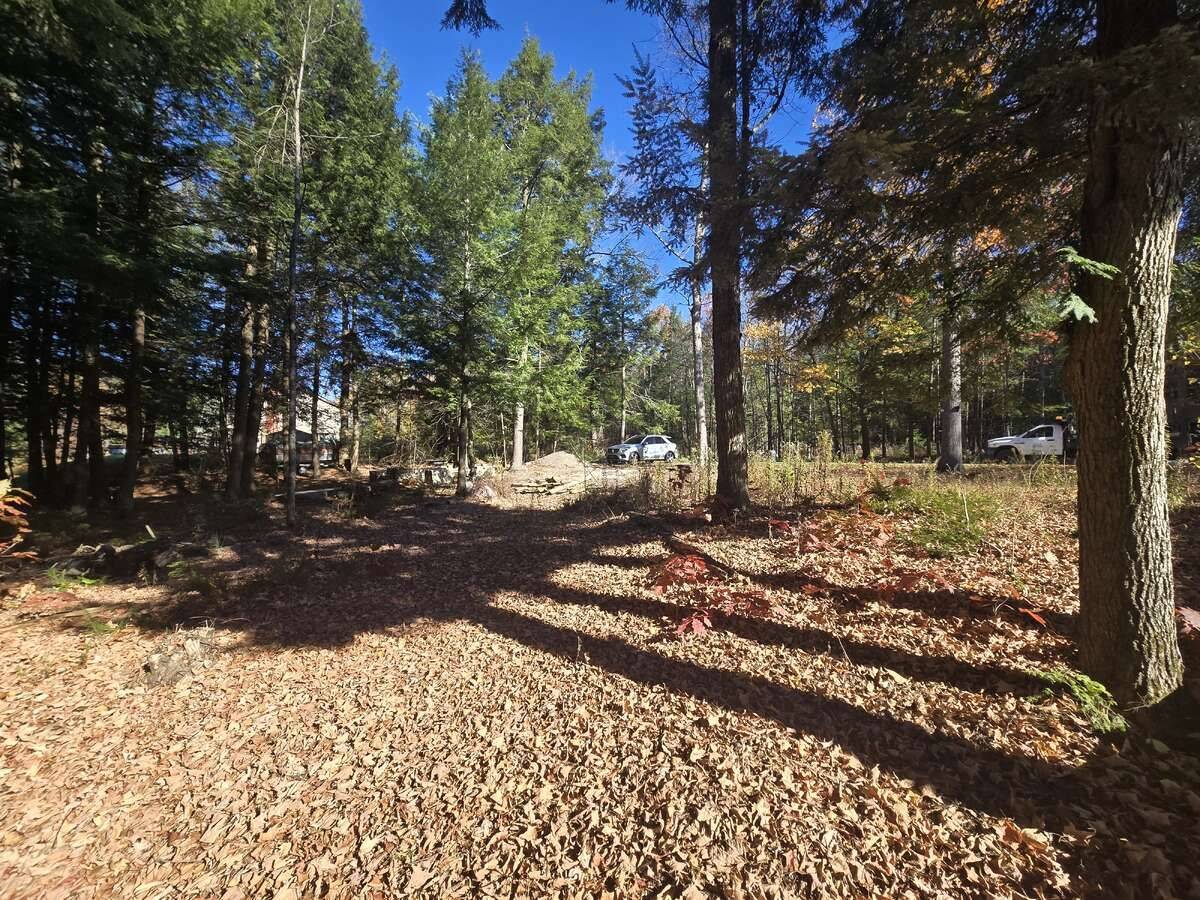 Lot 14 Laidlaw AVE, Gravenhurst, ON L0K 2B0