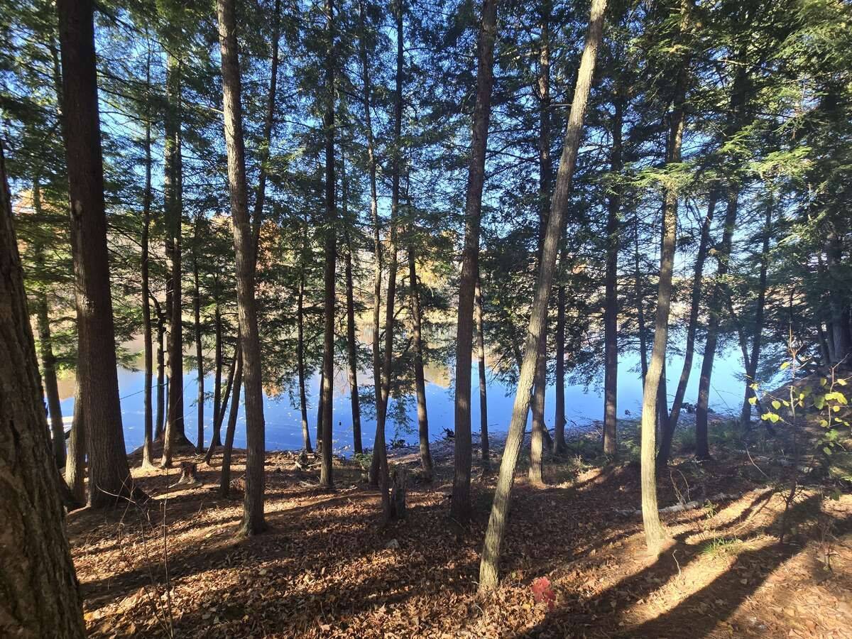 Lot 14 Laidlaw AVE, Gravenhurst, ON L0K 2B0