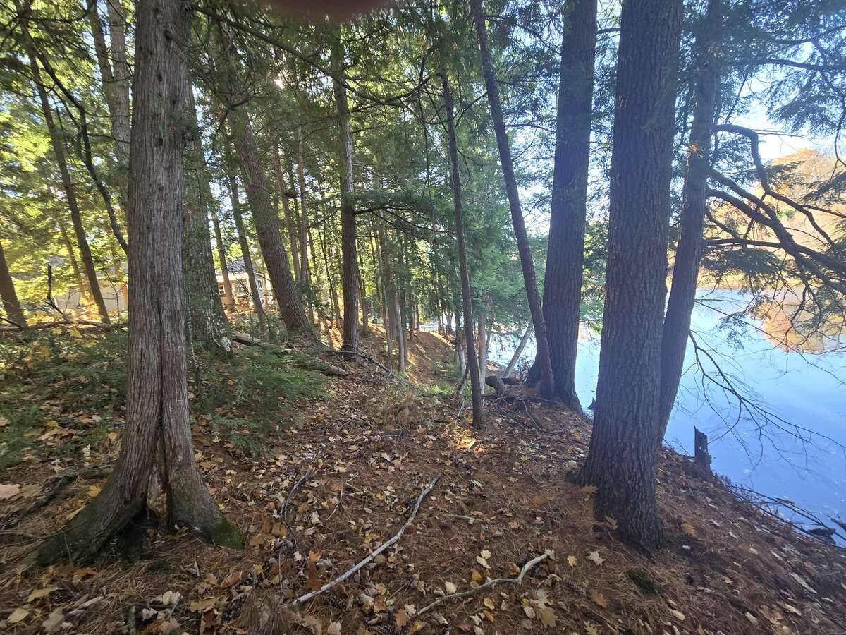 Lot 14 Laidlaw AVE, Gravenhurst, ON L0K 2B0