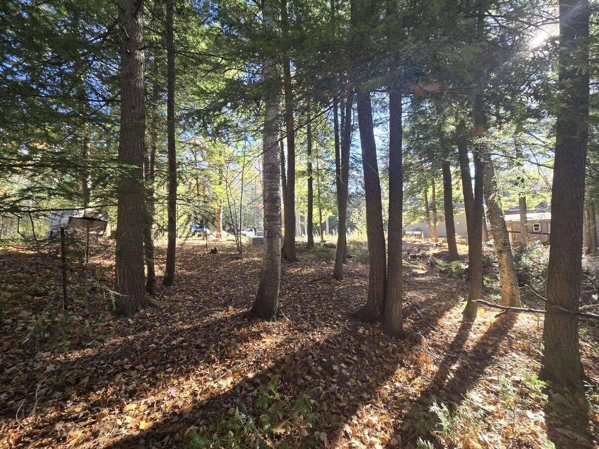 Lot 14 Laidlaw AVE, Gravenhurst, ON L0K 2B0