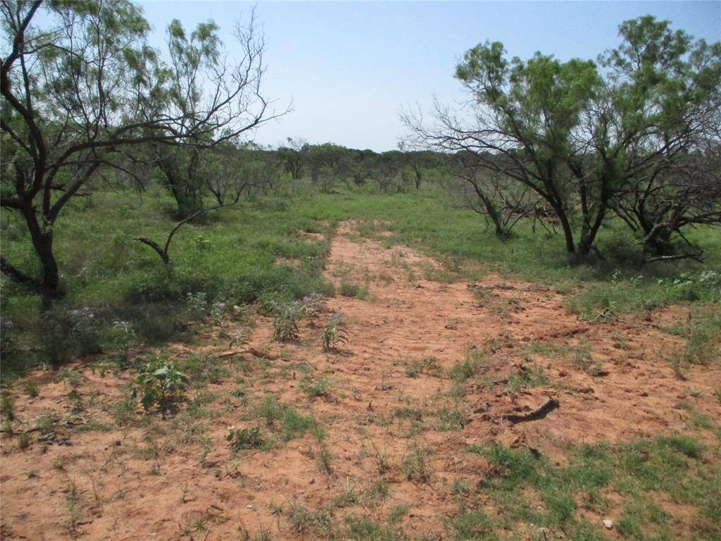 TR 1 Boren, Ringgold, TX 76241