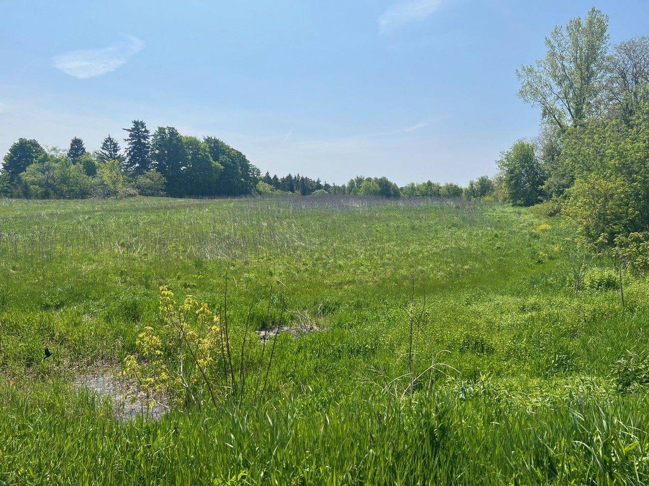 0 North (Paisley) ST W, Arran-elderslie, ON N0G 2N0