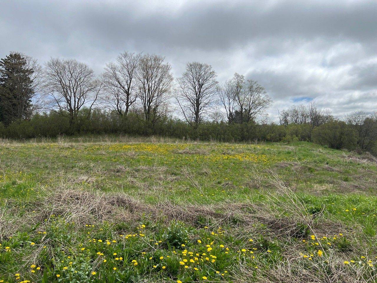 0 North (Paisley) ST W, Arran-elderslie, ON N0G 2N0