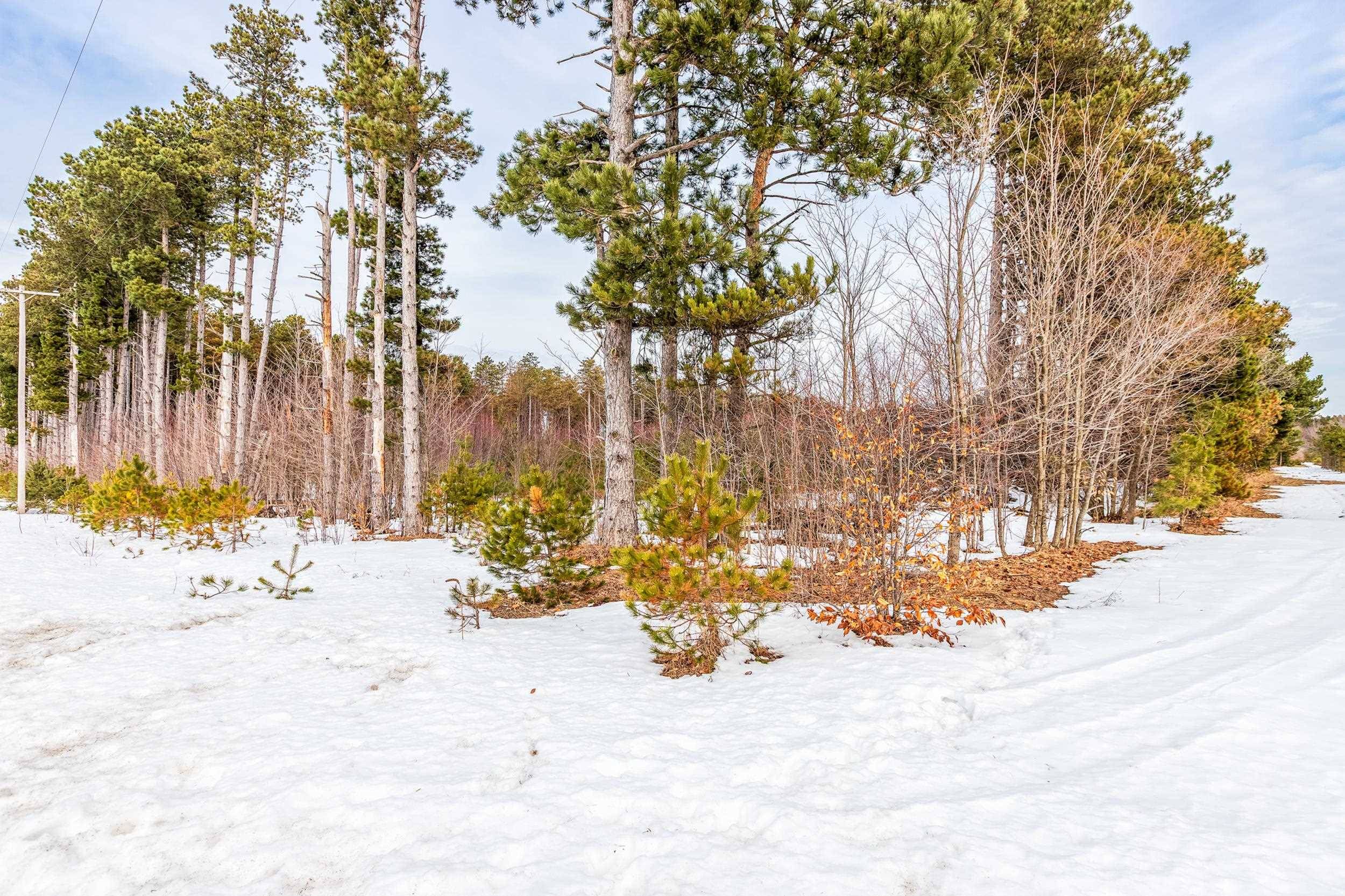 3219 Nugent RD, Blaine Twp, MI 49635