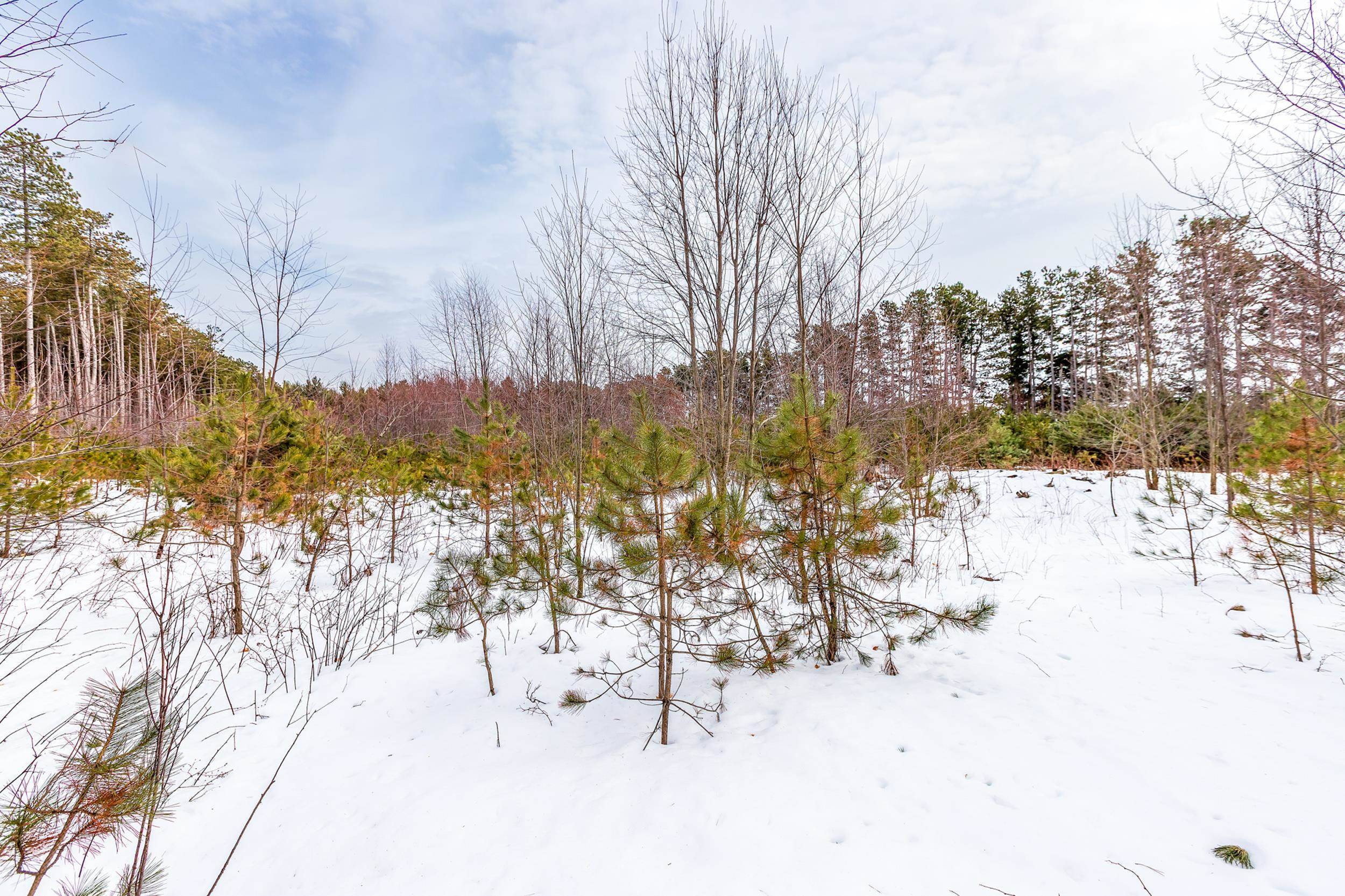 3219 Nugent RD, Blaine Twp, MI 49635