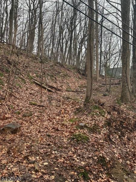 120 Millbrook Road, Franklin Twp., NJ 07882