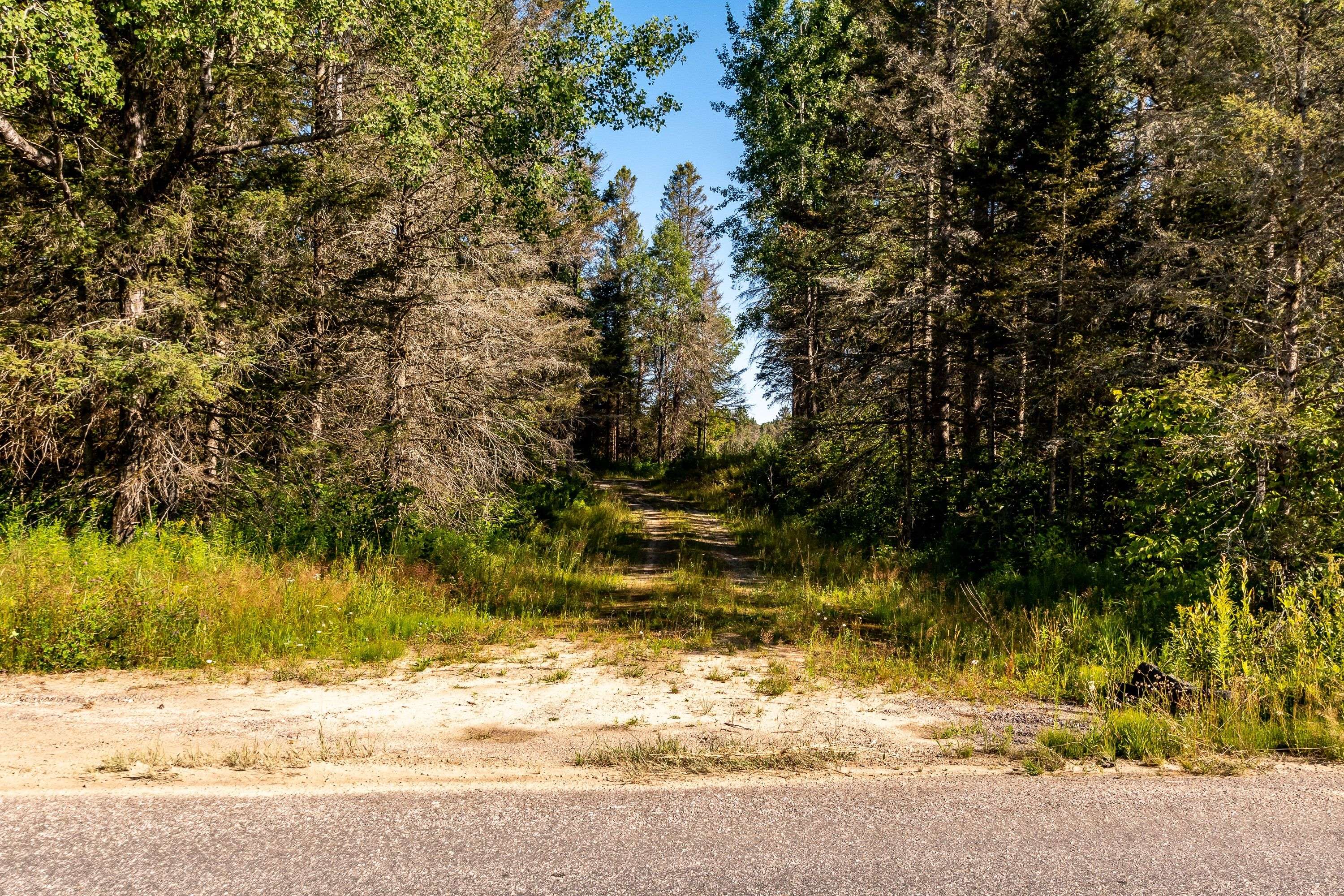 254 Pickerel Lake RD, Armour, ON P0A 1C0