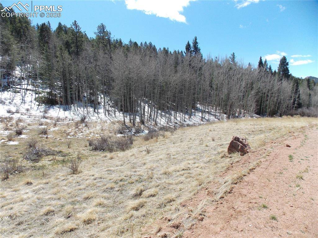 388 Grey Eagle DR, Cripple Creek, CO 80813