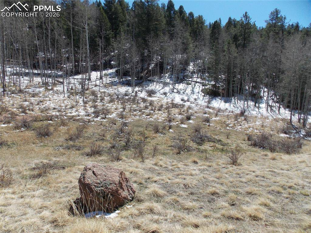 388 Grey Eagle DR, Cripple Creek, CO 80813