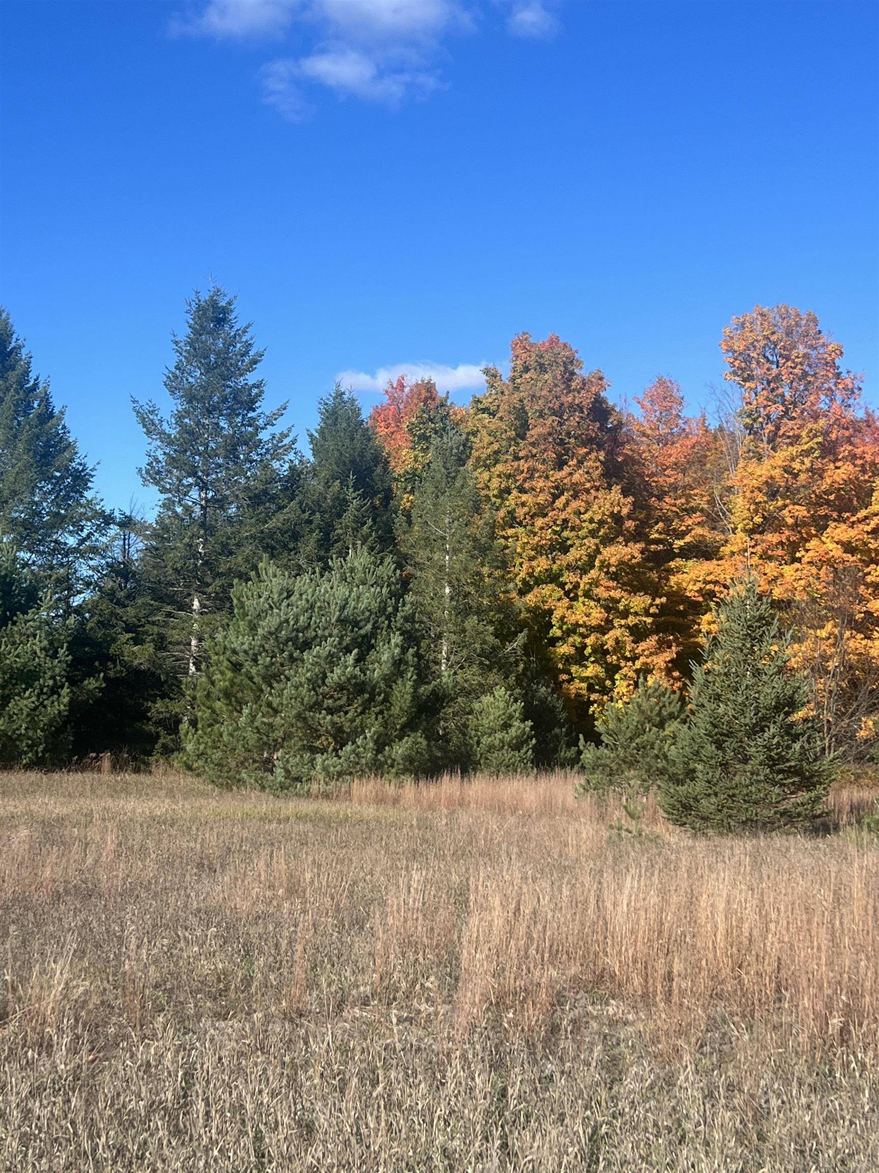 247 Blue Heron DR, Orange Twp, MI 49646