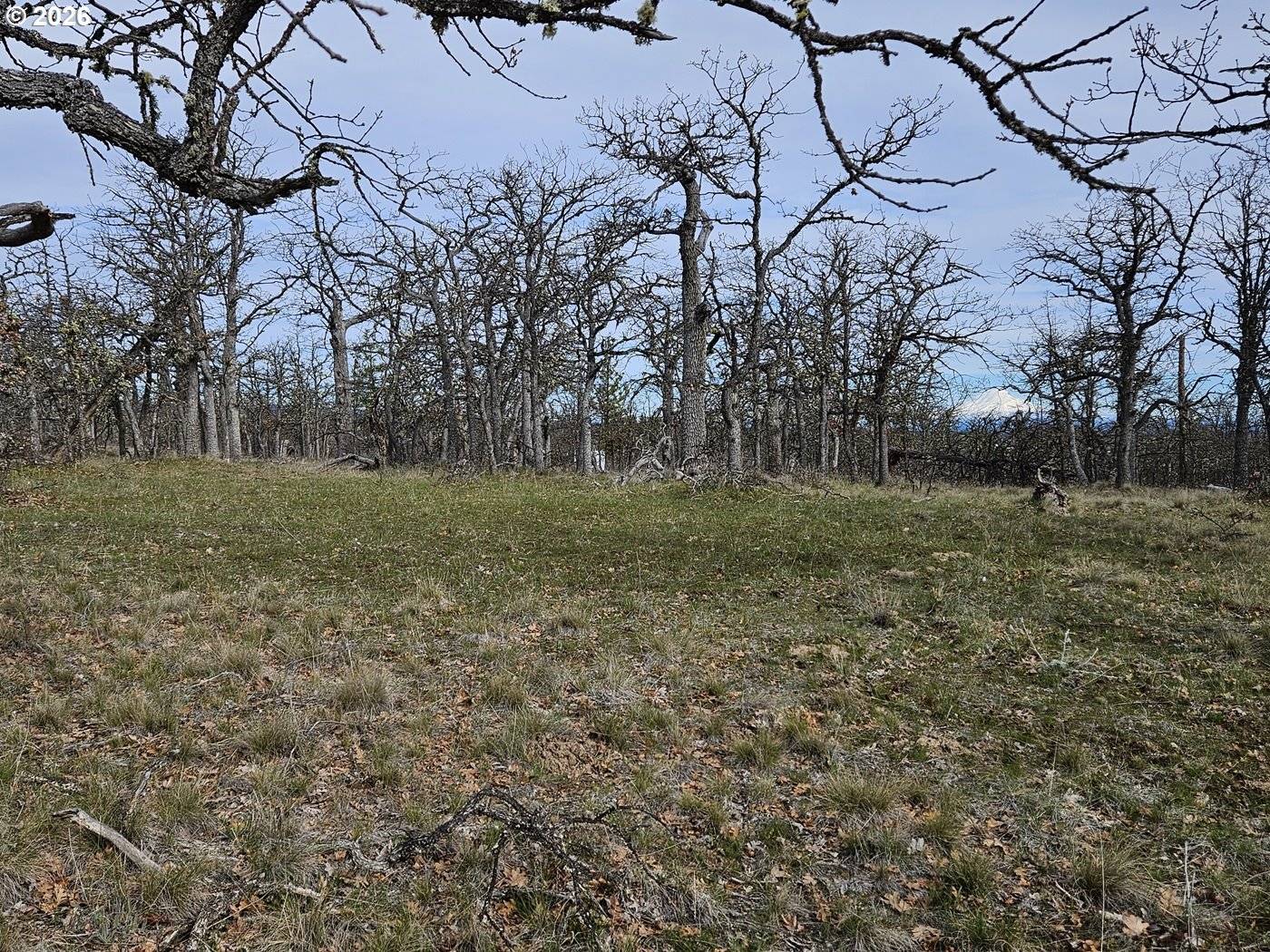 0 Ridgetop RD N #107, Dufur, OR 97021