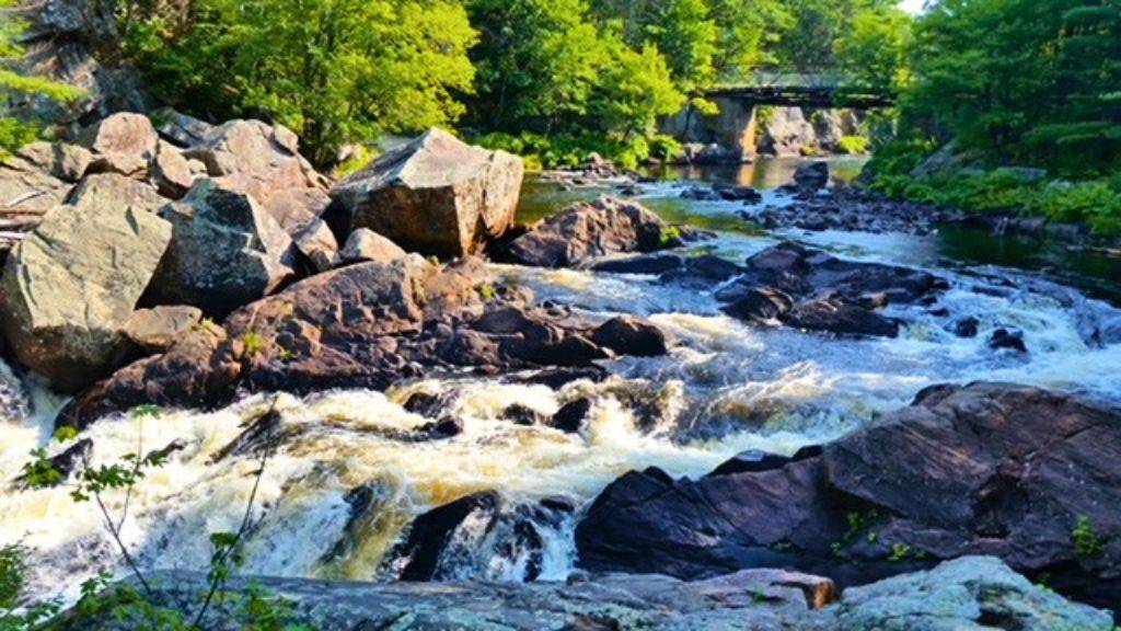 8101 Kings River RD, Ramara, ON L0K 2B0