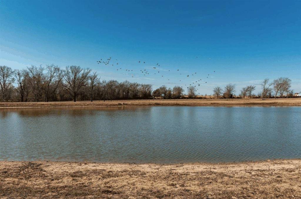 31 Acres Texas Highway 19 S, Brashear, TX 75420