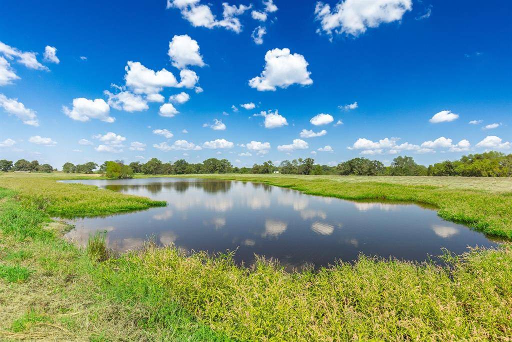 31 Acres Texas Highway 19 S, Brashear, TX 75420