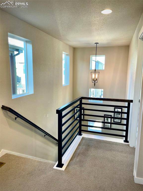 6144 Steele Creek WAY, Colorado Springs, CO 80922